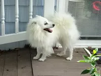 processed/4aa4b52f-dbd1-419e-be1e-c19fe2f3904b/facility/6471e040-7ff0-4fa9-a811-5670683f7f27