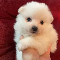 processed/4aa4b52f-dbd1-419e-be1e-c19fe2f3904b/facility/77962089-5c39-4c3e-8617-2dc029589eae