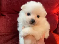 processed/4aa4b52f-dbd1-419e-be1e-c19fe2f3904b/facility/77962089-5c39-4c3e-8617-2dc029589eae