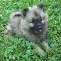 processed/4aa4b52f-dbd1-419e-be1e-c19fe2f3904b/facility/bf80eea4-280e-4ccc-a855-a8c625415345