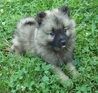 processed/4aa4b52f-dbd1-419e-be1e-c19fe2f3904b/facility/bf80eea4-280e-4ccc-a855-a8c625415345