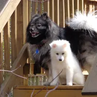 processed/4aa4b52f-dbd1-419e-be1e-c19fe2f3904b/facility/f6b7ff3d-6a42-43c2-a656-17b67bf804e0