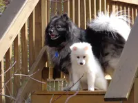 processed/4aa4b52f-dbd1-419e-be1e-c19fe2f3904b/facility/f6b7ff3d-6a42-43c2-a656-17b67bf804e0