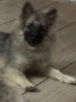 processed/4aa4b52f-dbd1-419e-be1e-c19fe2f3904b/listing/25a6ab3f-7f5c-490c-860d-6ed3a198e423/2ccc0c6e-6d4a-405f-aedc-50833fac2d39