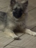 processed/4aa4b52f-dbd1-419e-be1e-c19fe2f3904b/listing/25a6ab3f-7f5c-490c-860d-6ed3a198e423/80b0d6dc-323d-4dca-b4a0-cf96b96e2c6a