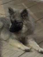 processed/4aa4b52f-dbd1-419e-be1e-c19fe2f3904b/listing/25a6ab3f-7f5c-490c-860d-6ed3a198e423/920fe1aa-de2a-41cb-8744-304193689ce4