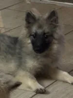 processed/4aa4b52f-dbd1-419e-be1e-c19fe2f3904b/listing/25a6ab3f-7f5c-490c-860d-6ed3a198e423/942ff139-4d7b-4d7d-aaf7-ad650db62043