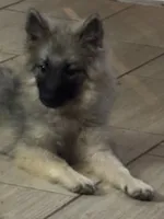 processed/4aa4b52f-dbd1-419e-be1e-c19fe2f3904b/listing/25a6ab3f-7f5c-490c-860d-6ed3a198e423/be8b4dba-1356-4188-84c0-538476b86cd5