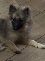 processed/4aa4b52f-dbd1-419e-be1e-c19fe2f3904b/listing/25a6ab3f-7f5c-490c-860d-6ed3a198e423/ee2f4d56-87d3-47a1-8bfd-bec77e7aeea2