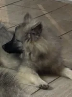 processed/4aa4b52f-dbd1-419e-be1e-c19fe2f3904b/listing/25a6ab3f-7f5c-490c-860d-6ed3a198e423/fb756c29-dbf1-49a7-bdb1-2fce05674535