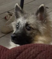 processed/4aa4b52f-dbd1-419e-be1e-c19fe2f3904b/listing/60aa23ef-718f-4e2a-a79b-bb64456b1a66/083e2ffa-f032-48d3-9d2f-14791abd1156