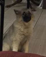 processed/4aa4b52f-dbd1-419e-be1e-c19fe2f3904b/listing/60aa23ef-718f-4e2a-a79b-bb64456b1a66/0df3d7f2-fb56-49a2-b6b6-f109dd8cde14