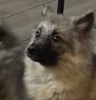 processed/4aa4b52f-dbd1-419e-be1e-c19fe2f3904b/listing/60aa23ef-718f-4e2a-a79b-bb64456b1a66/49207ed7-f502-4112-b197-ad2ecf87a40e