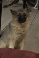 processed/4aa4b52f-dbd1-419e-be1e-c19fe2f3904b/listing/60aa23ef-718f-4e2a-a79b-bb64456b1a66/732e13e5-ec9b-40a4-b9cc-e46a478d0822