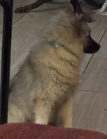 processed/4aa4b52f-dbd1-419e-be1e-c19fe2f3904b/listing/60aa23ef-718f-4e2a-a79b-bb64456b1a66/9f478ea8-3882-4c6f-95a4-83104b4dfb06