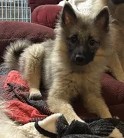 processed/4aa4b52f-dbd1-419e-be1e-c19fe2f3904b/listing/60aa23ef-718f-4e2a-a79b-bb64456b1a66/bf7b2b1b-f022-46bf-81b3-b3130245d2ac