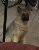 processed/4aa4b52f-dbd1-419e-be1e-c19fe2f3904b/listing/60aa23ef-718f-4e2a-a79b-bb64456b1a66/dd0197dd-cc79-4faa-9d64-4c2a40b729cf