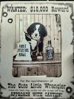 ESA Certified Ready Now, a male Bernese Mountain Dog for sale in Asheville, NC – Photo 2 of 9