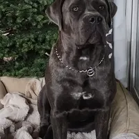 processed/4aa9a7b9-4a32-4f60-984c-f6fc45e4cf47/facility/1c7f9d87-307d-4e46-a467-8ef1bf2bcb1a