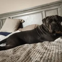 processed/4aa9a7b9-4a32-4f60-984c-f6fc45e4cf47/facility/2b71c17c-1827-465e-99c0-16a6d258e76c