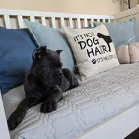 processed/4aa9a7b9-4a32-4f60-984c-f6fc45e4cf47/facility/5f199918-e426-40ce-ab9d-d218798b54a6