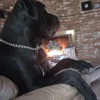 processed/4aa9a7b9-4a32-4f60-984c-f6fc45e4cf47/facility/ad37d91b-ebcd-406c-b299-18ea8e3fc16e