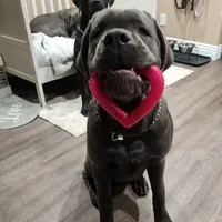 processed/4aa9a7b9-4a32-4f60-984c-f6fc45e4cf47/facility/b184b65c-cf99-4d48-b071-ff54e1e1bb60