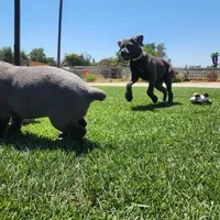 processed/4aa9a7b9-4a32-4f60-984c-f6fc45e4cf47/facility/ba3aadbd-7af8-4fc6-a57b-94419db5ebfa