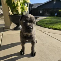 processed/4aa9a7b9-4a32-4f60-984c-f6fc45e4cf47/facility/d1c5328b-8f4b-4b68-a80a-c357cafc23a7