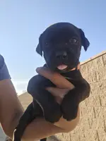 processed/4aa9a7b9-4a32-4f60-984c-f6fc45e4cf47/listing/cf5395a3-91de-43a5-b644-5d2c9db96241/05c3fdd3-219a-4227-853c-29aba25c7972