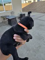 processed/4aa9a7b9-4a32-4f60-984c-f6fc45e4cf47/listing/cf5395a3-91de-43a5-b644-5d2c9db96241/20e7cb6f-16db-41fc-a1fa-2144d47a35db