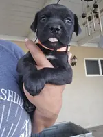 processed/4aa9a7b9-4a32-4f60-984c-f6fc45e4cf47/listing/cf5395a3-91de-43a5-b644-5d2c9db96241/2f12c32b-b83e-4fda-94a9-b1743e0baffb