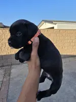 processed/4aa9a7b9-4a32-4f60-984c-f6fc45e4cf47/listing/cf5395a3-91de-43a5-b644-5d2c9db96241/45854bf7-e1f9-4974-b45c-d4e1580b90ca