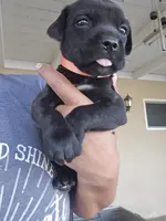 processed/4aa9a7b9-4a32-4f60-984c-f6fc45e4cf47/listing/cf5395a3-91de-43a5-b644-5d2c9db96241/589a09bf-a91d-4583-89b6-c56e9d171f64