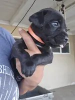 processed/4aa9a7b9-4a32-4f60-984c-f6fc45e4cf47/listing/cf5395a3-91de-43a5-b644-5d2c9db96241/74045e4e-3d6e-4b81-ac7b-c29a0004ff99