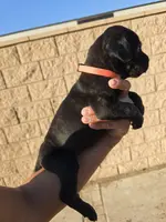 processed/4aa9a7b9-4a32-4f60-984c-f6fc45e4cf47/listing/cf5395a3-91de-43a5-b644-5d2c9db96241/8483a999-fe02-45e1-9398-71ab37f1aac8