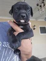 processed/4aa9a7b9-4a32-4f60-984c-f6fc45e4cf47/listing/cf5395a3-91de-43a5-b644-5d2c9db96241/8b2cc77d-f2b2-4af7-b78d-00e40814f403