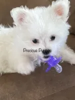 processed/4ab9c938-1553-4978-9552-ae3ea492ecfa/facility/0913a34e-2d79-4074-899c-f03caecd3fb3