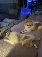 processed/4ab9c938-1553-4978-9552-ae3ea492ecfa/facility/201143d3-78e2-4548-b9c3-db4587615f05