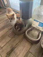 processed/4ab9c938-1553-4978-9552-ae3ea492ecfa/facility/5d46e2bf-403f-4e9c-a176-8a6c5d5f3a74