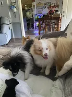 processed/4ab9c938-1553-4978-9552-ae3ea492ecfa/facility/8e950ebf-20e2-4ef3-bd6f-18d103bf8a1a