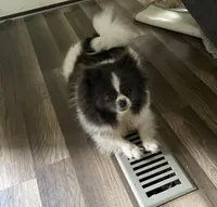 processed/4ab9c938-1553-4978-9552-ae3ea492ecfa/facility/dd19dbc2-dcf6-4db5-8ca8-6c4b8e138814