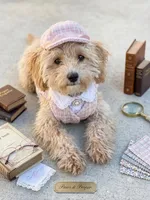 Jasime, a female Miniature Goldendoodle for sale in Dawsonville, GA – 1 of 1