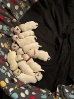 processed/4ac401be-2a09-43e3-b1be-5fc854dea319/listing/71443487-537f-4e01-832c-48217876fe3c/45f5b9c4-e868-42a4-b690-6220892adc9e