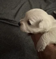 processed/4ac401be-2a09-43e3-b1be-5fc854dea319/listing/84e449e7-517d-4070-a962-0dcbcd3d1fea/ae218be3-6b90-4a04-b084-67c07d91100e