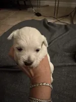 processed/4ac401be-2a09-43e3-b1be-5fc854dea319/listing/84e449e7-517d-4070-a962-0dcbcd3d1fea/c0e877ba-5790-456e-aabc-a563c64ae56c