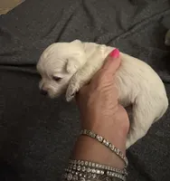 processed/4ac401be-2a09-43e3-b1be-5fc854dea319/listing/84e449e7-517d-4070-a962-0dcbcd3d1fea/f13ccb4c-fdf9-44dd-a2c1-d635e0711ee8