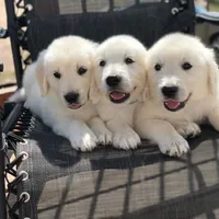 processed/4ad141c5-6fe2-45f4-812b-b65c42210278/facility/b38df42d-73de-4128-b08a-b7b2c2802aac