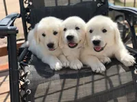 processed/4ad141c5-6fe2-45f4-812b-b65c42210278/facility/b38df42d-73de-4128-b08a-b7b2c2802aac