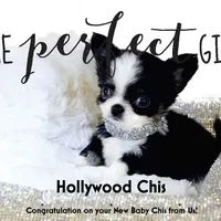 processed/4ad92166-e4cc-4ccf-889b-9c1a3df91fd9/facility/1f7e21ea-3a8e-4555-af02-b2ca6d20c30f